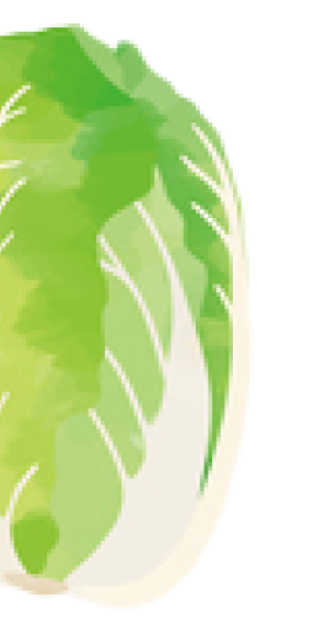 白菜のイラスト