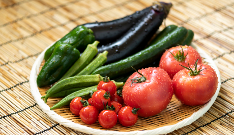 くちぶえ農園の旬野菜お試しセットの画像
